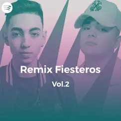 Demasiado Tarde (Remix Fiestero) Song Lyrics