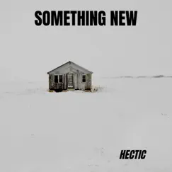 Something New - Single by Hectic album reviews, ratings, credits