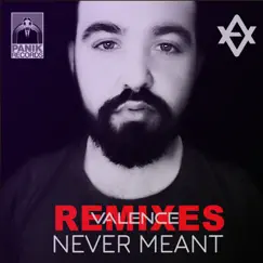 Never Meant (Crossfade Remix) Song Lyrics