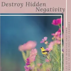 Destroy Hidden Negativity - Let Go of Negative Emotions, Music to Bring Positive Changes by Brenda Evora album reviews, ratings, credits