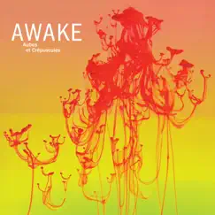 Aubes Et Crépuscules by Awake, Romain Cuoq & Anthony Jambon album reviews, ratings, credits