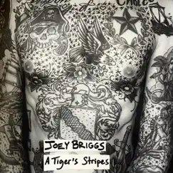 A Tiger's Stripes - Single by Joey Briggs album reviews, ratings, credits