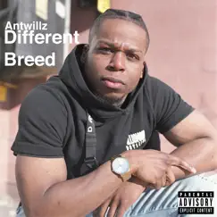 Different Breed - Single by Antwillz album reviews, ratings, credits