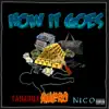 How It Goes (feat. Amero & Nico) - Single album lyrics, reviews, download