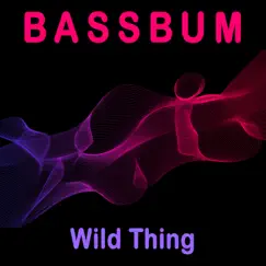 Wild Thing - Single by Bassbum album reviews, ratings, credits