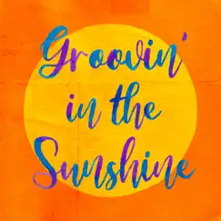 Groovin' in the Sunshine (feat. Basi & Mukai Taichi) Song Lyrics