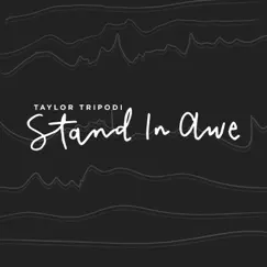 Stand in Awe (feat. Tom Young) - Single by Taylor Tripodi album reviews, ratings, credits