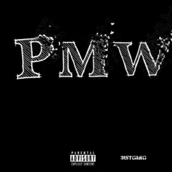 PMW(31strodneyracks, KaceSpades, 31stdre) - Single by 31sbillz album reviews, ratings, credits