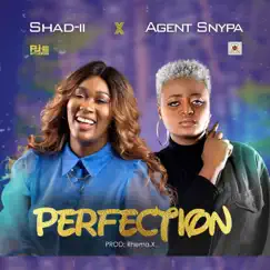 Perfection (feat. Agent Snypa) - Single by Shad-ii album reviews, ratings, credits