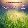 Wie stiller Tau - Single album lyrics, reviews, download