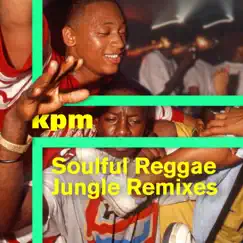 Soulful Reggae Jungle Remixes by Various Artists album reviews, ratings, credits