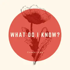 What Do I Know? - Single by Cooper Lee album reviews, ratings, credits