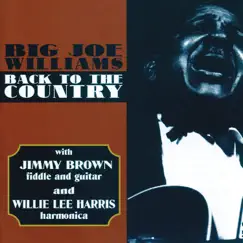 Back To The Country by Big Joe Williams album reviews, ratings, credits