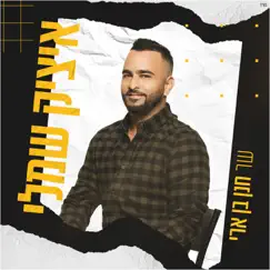 שר חנן בן ארי - Single by Itzik Shamli album reviews, ratings, credits