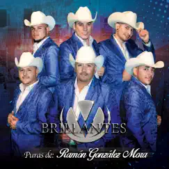 Brillantes - Puras de Ramón Gonzalez Mora by Brillantes album reviews, ratings, credits