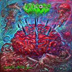 Million Maggot March Song Lyrics