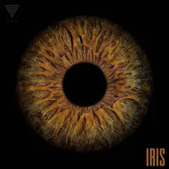 Iris - Single by Fan album reviews, ratings, credits