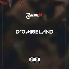 Promise Land - Single by SAVAGE18 album reviews, ratings, credits