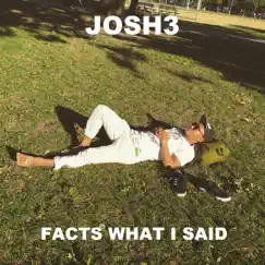 Facts What I Said - Single by Josh3 album reviews, ratings, credits