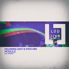 Module - Single by Following Light & Steve Hike album reviews, ratings, credits