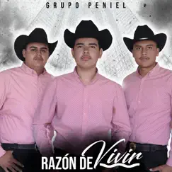 Razón De Vivir by Grupo Peniel album reviews, ratings, credits