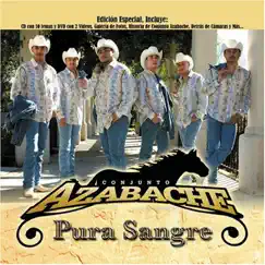 Pura Sangre by Conjunto Azabache album reviews, ratings, credits