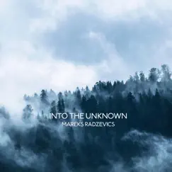 Into the Unknown Song Lyrics