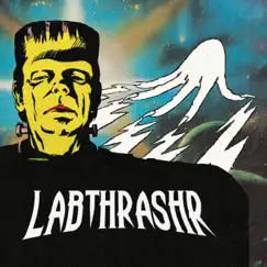 Labthrashr by ToadStool album reviews, ratings, credits