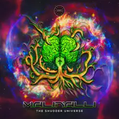 The Shudder Universe - Single by Malinalli album reviews, ratings, credits
