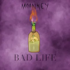 Badlife - Single by Moonkey album reviews, ratings, credits