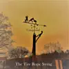 The Tire Rope Swing - Single album lyrics, reviews, download