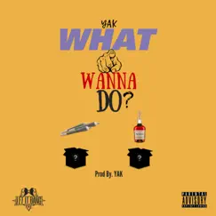 What U Wanna Do - Single by Yak Let It Bang album reviews, ratings, credits