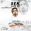 Sek Lain De (Remix) - Single album lyrics, reviews, download