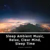 Sleep Ambient Music, Relax, Clear Mind, Sleep Time album lyrics, reviews, download