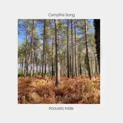 Campfire Song - Single by Acoustic Indie album reviews, ratings, credits