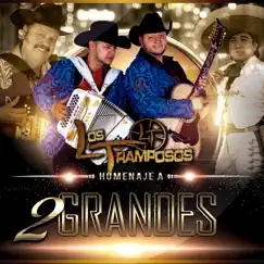 Homenaje a 2 Grandes by Los Tramposos album reviews, ratings, credits