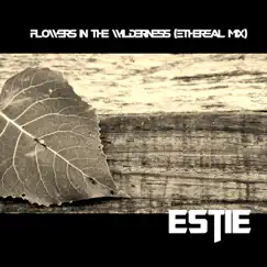 Flowers in the Wilderness (Ethereal Mix) - Single by Estie album reviews, ratings, credits