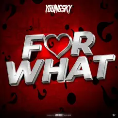 For What - Single by Youngsky album reviews, ratings, credits