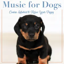 Music for Dogs: Canine Lullabies to Relax Your Puppy by Relaxmydog, Dog Music Dreams & Pet Music Therapy album reviews, ratings, credits
