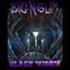 Black Widow - Single album lyrics, reviews, download