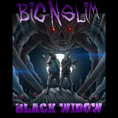 Black Widow - Single by Big N Slim album reviews, ratings, credits