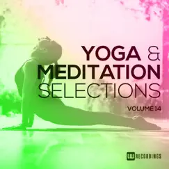 Yoga & Meditation Selections, Vol. 14 by Various Artists album reviews, ratings, credits