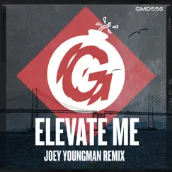 Elevate Me (Joey Youngman Remix) - Single by Bobby D'Ambrosio album reviews, ratings, credits