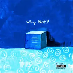 Why Not? by Evan Lesoule album reviews, ratings, credits