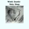 Womb Sounds: Baby Sleep album lyrics, reviews, download