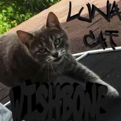 Luna Cat - Single by Wishbone album reviews, ratings, credits