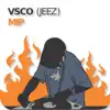 VSCO (Jeez) - Single album lyrics, reviews, download