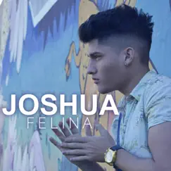 Felina - Single by Joshua album reviews, ratings, credits