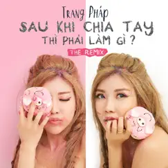 Sau Khi Chia Tay Thì Phải Làm Gì - Single by Trang Pháp album reviews, ratings, credits