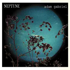 Neptune by Adam Gabriel album reviews, ratings, credits